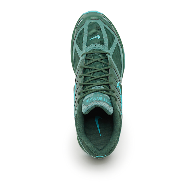 Nike Air Pegasus 2K5 "Fir" grün 88227 4