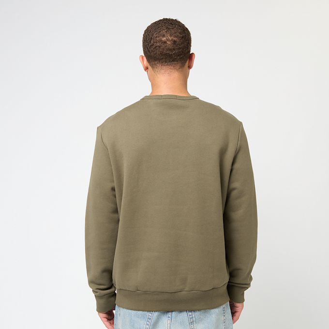 Polo Ralph Lauren Longsleeve Sweatshirt groen 91381 4