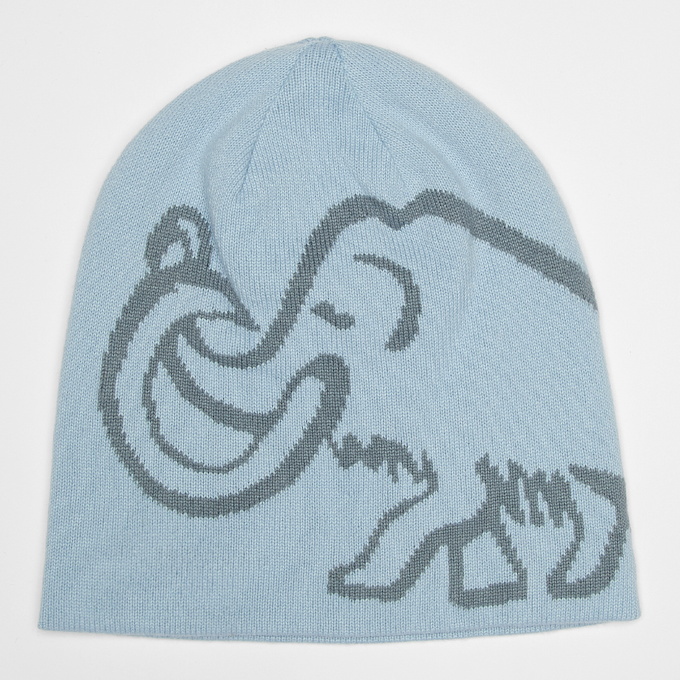 Mammut Mammut Logo Beanie Reversible blauw 102441 1