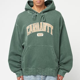 Carhartt WIP Hooded Library Sweatshirt groen
