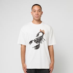 Nike Acg Tee Oc Scorpion weiß
