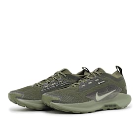 Nike Pegasus Trail 5 GTX SP green