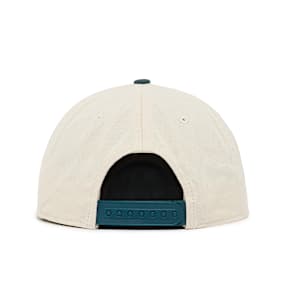 Carhartt WIP Alston Cap beige