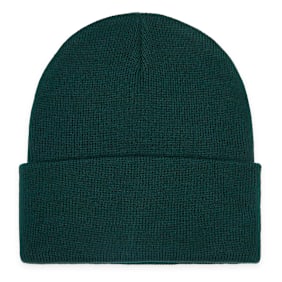Carhartt WIP Short Watch Hat grün