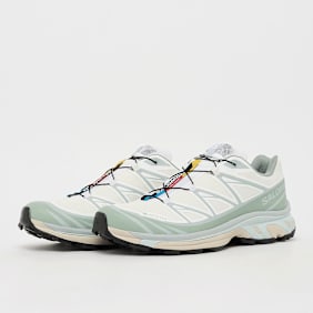 Salomon XT-6 GTX weiß
