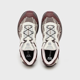 Salomon Wmns XT-Whisper braun