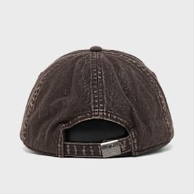 Carhartt WIP Lambert Cap brown