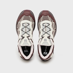 Salomon Wmns XT-Whisper braun