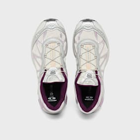Salomon Wmns XT-Whisper beige