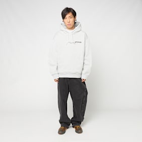 Carhartt WIP Hooded Wiptopia II grijs