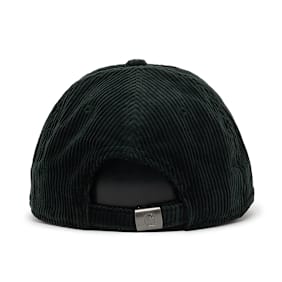 Carhartt WIP Harlem Cap grün