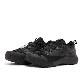 Salomon Alpinway Advanced noir