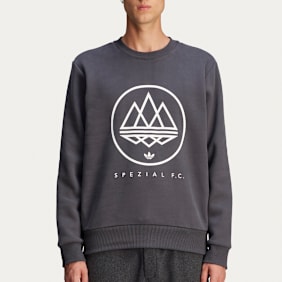 adidas Originals Spezial FC Longsleeve grey