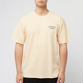 Dickies Mechanic SS Tee geel
