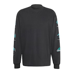 adidas Originals EQT Graphic Longsleeve schwarz