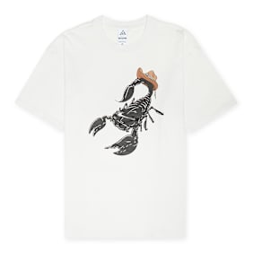 Nike M Acg Tee Oc Scorpion summit white weiß