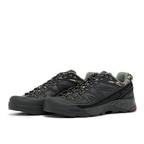 Salomon x Carhartt WIP X-ALP black