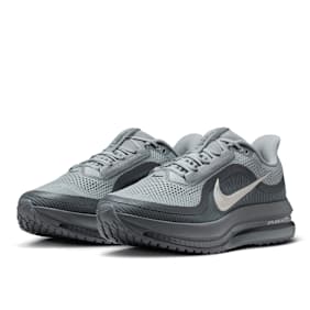 Nike   Pegasus Premium gris