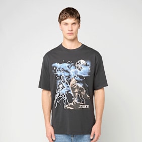 Jordan Graphic T-Shirt grey