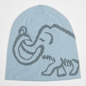 Mammut Mammut Logo Beanie Reversible blauw