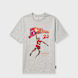 Jordan Brooklyn Graphic T-Shirt grey 105675 1