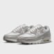 Nike Air Max 90 "Light Iron Ore" beige 101280 1