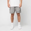 Stone Island Shorts grey 89161 2