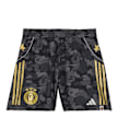 adidas Originals x Bape FB Short camouflage 85965 1