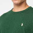 Polo Ralph Lauren Shortsleeve T-Shirt green 91544 5