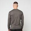 Stone Island LS T-Shirt grau 96399 4
