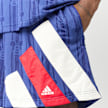 adidas Originals x Braindead x Disney Football Short blue 98676 4