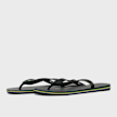 Havaianas Brasil Logo black 99754 1