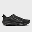 Nike ACG Pegasus Trail schwarz 101301 2