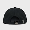 Carhartt WIP Luggage Label Cap zwart 101890 2