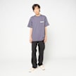 Carhartt WIP S/S Wiptopia II T-Shirt roze 104058 2