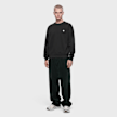 Carhartt WIP Evan Pant raven rinsed Undefined Color 104097 2