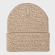 Carhartt WIP Short Watch Hat beige 104248 2