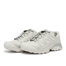 Salomon Xt-Pathway Gtx grijs