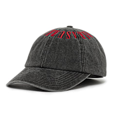 Pleasures Onyx Crown Washed Cap grijs