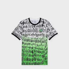 Nike   x Slawn Nigeria Academy Pro Pre-Match Jersey grün