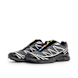 Salomon Wmns XT-6 GTX grey 80663 1