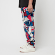 Reebok CL WS Pant multicolor 70069 3
