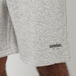 solebox EST. 2002 Shorts grijs 75922 6
