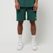 solebox EST. 2002 Shorts vert 75924 2