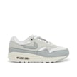 Nike Wmns Air Max 1 "Light Smoke Grey" gris 83234 2