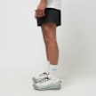 Nike ACG Shorts "Reservoir Goat" schwarz 84841 3