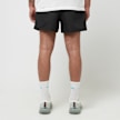 Nike ACG Shorts "Reservoir Goat" schwarz 84841 4