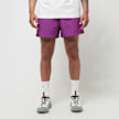 Nike ACG Shorts "Reservoir Goat" lila 89550 2