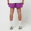 Nike ACG Shorts "Reservoir Goat" lila 89550 4