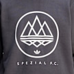 adidas Originals Spezial FC Longsleeve grau 90273 5